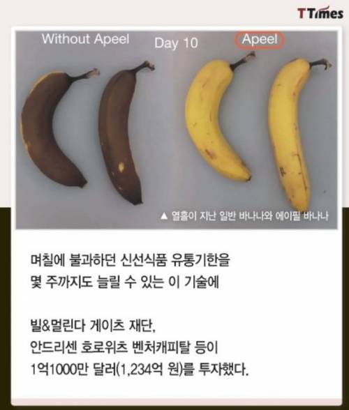 과일,야채 코팅으로 유통기한 2배 늘린 회사