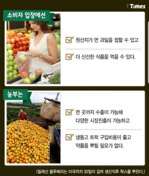 과일,야채 코팅으로 유통기한 2배 늘린 회사