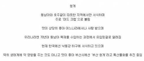 착한 외래종.jpg