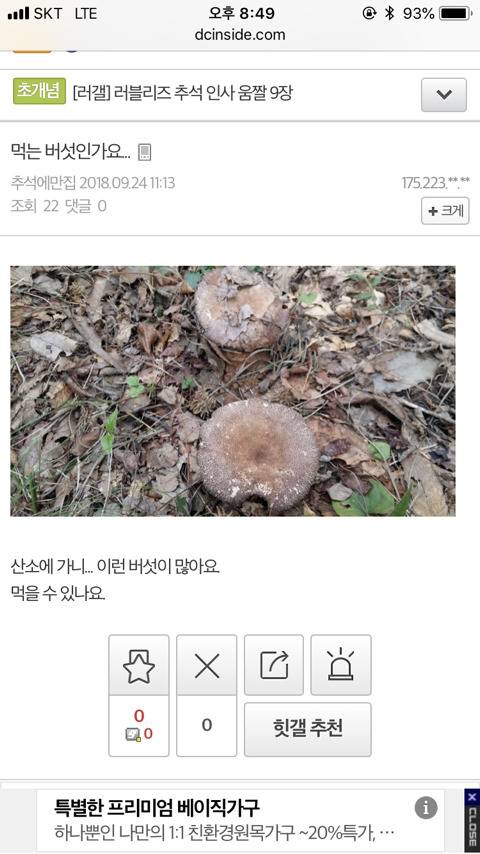 명절마다 식물갤에 자주올라오는글 .jpg