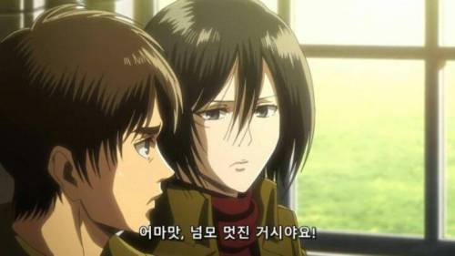 [욕주의]자막 제작자를 빡치게 만든 결과물.jpg