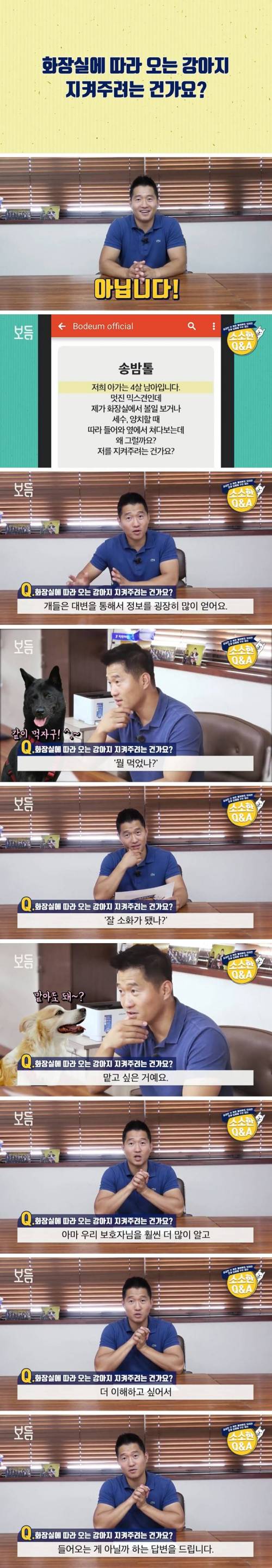 화장실까지  따라 오는 반려견... 지켜주려는 건가요?