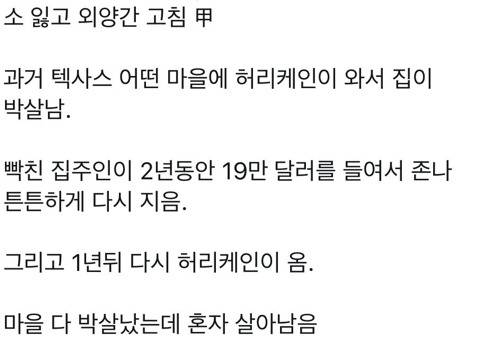 태풍왔는데 마을에서 혼자 살아남음.jpg