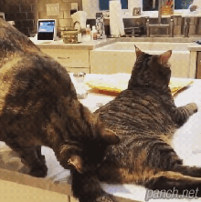 호기심이 부른 참사.gif