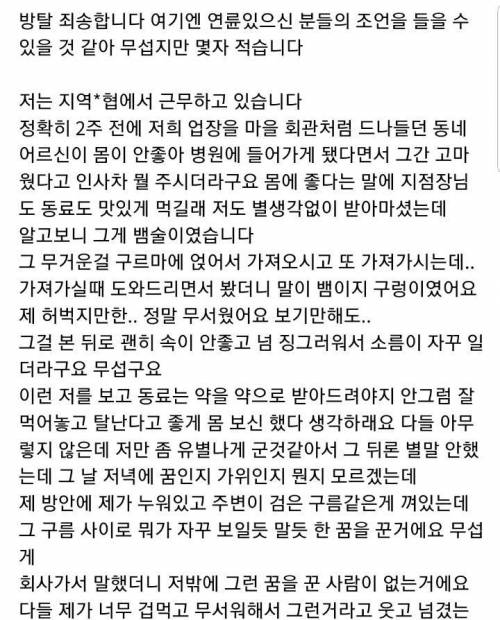 뱀술 마신 뒤로 2주째 비슷한 꿈을 꿉니다.jpg