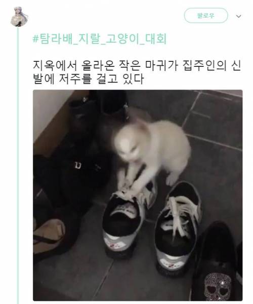 신발에 강력한 저주를 걸고 있는 주인님.jpg