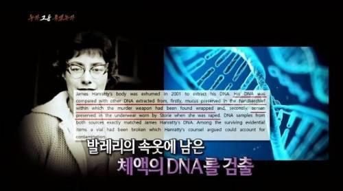 [스압] 40년간 논란이었던 영국의 사건.jpg