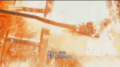 [스압]2,200도의 온도를 버티는 것은? .jpg