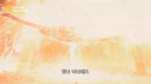 [스압]2,200도의 온도를 버티는 것은? .jpg