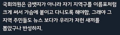 국회의원 뱃지를 이렇게 바꿔야 합니다.jpg