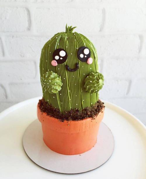 선인장 케이크
