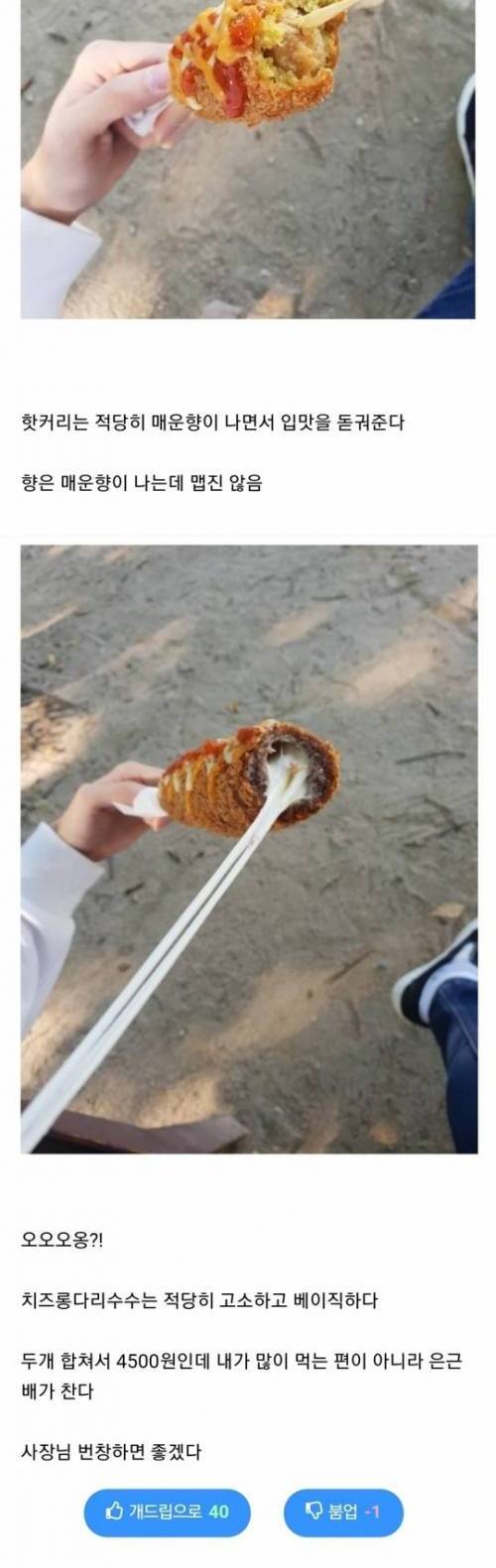 푸드트럭 핫도그집에 방문한 개드리퍼.jpg