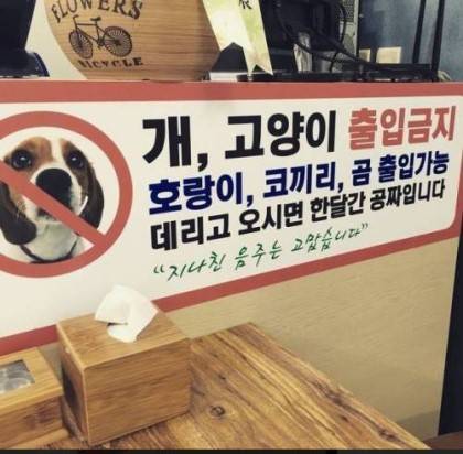 개, 고양이 출입 금지 .jpg