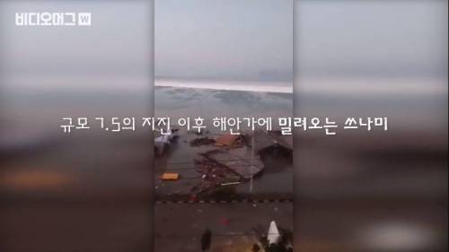 쓰나미 속 목숨을 걸고 수백명을 구한 21세 영웅