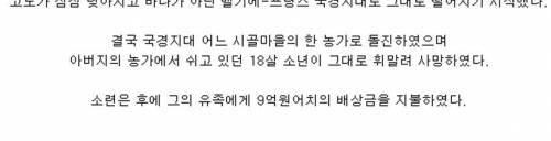 더럽게 재수가 없었던 벨기에 소년.jpg