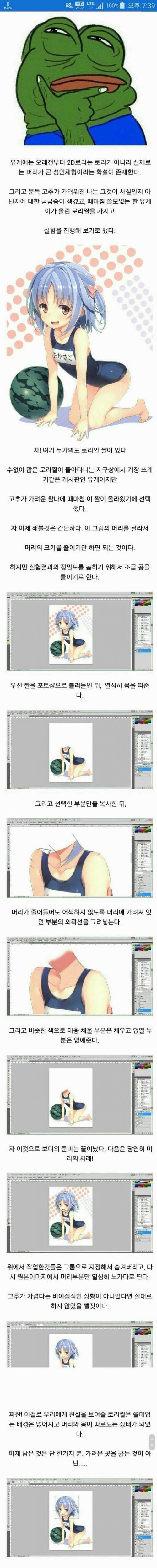 어느 2D로리콘의 고찰과 깨달음.jpg