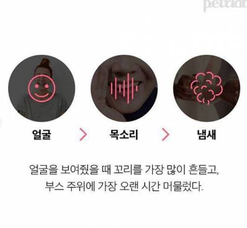 강아지는 날 어떻게 알아볼까! 얼굴? 목소리? 냄새?