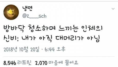 방바닥 청소하면서 느끼는 인체의 신비.jpg