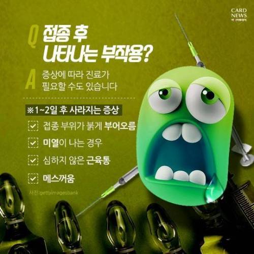 독감에 관한 정보.jpg