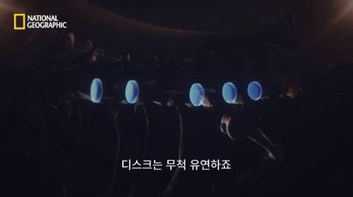 사냥 중 120M 절벽 아래로 추락한 표범.jpg