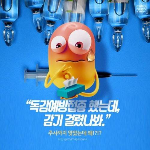독감에 관한 정보.jpg