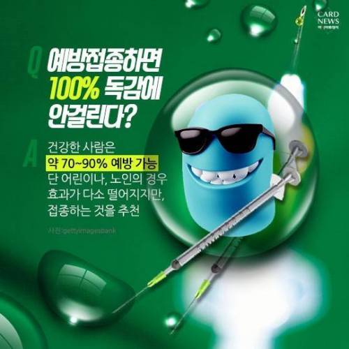 독감에 관한 정보.jpg