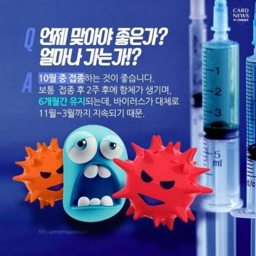 독감에 관한 정보.jpg
