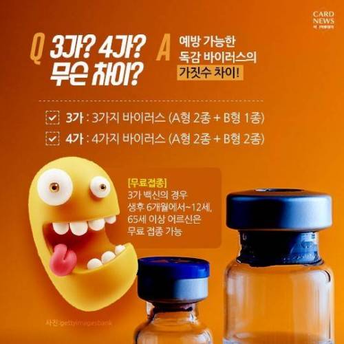 독감에 관한 정보.jpg