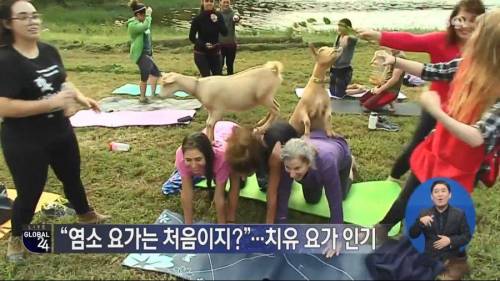 요가 근황.jpg