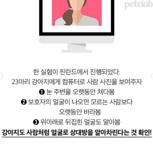 강아지는 날 어떻게 알아볼까! 얼굴? 목소리? 냄새?