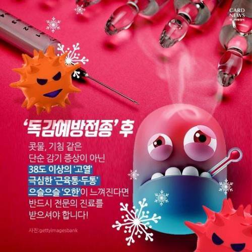 독감에 관한 정보.jpg