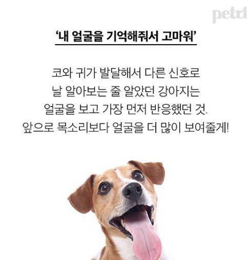 강아지는 날 어떻게 알아볼까! 얼굴? 목소리? 냄새?