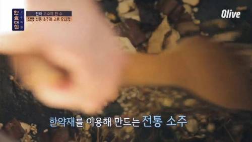 한식대첩 아말의 존재감.jpg