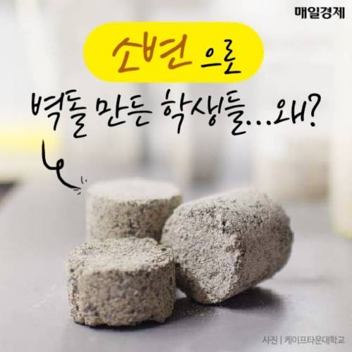 소변으로 벽돌 만든 학생들…왜?