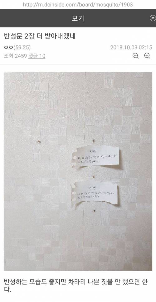 새로생긴 디씨 모기갤러리 근황.jpg