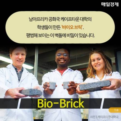 소변으로 벽돌 만든 학생들…왜?