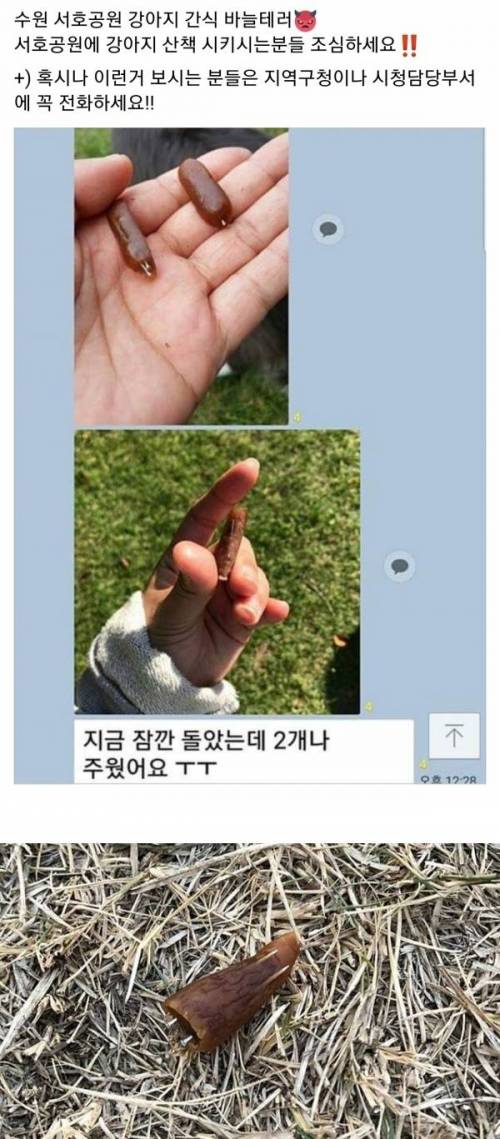 강아지 간식 바늘테러...jpg