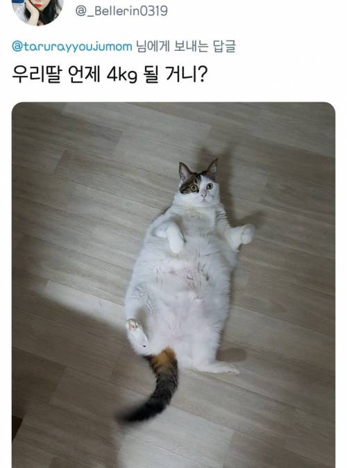 같은소망 다른4kg.jpg