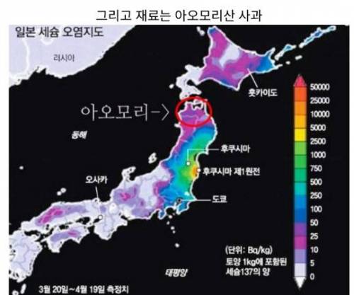 이름바꾸고 한국으로 들어온 일본 디저트 가게.jpg