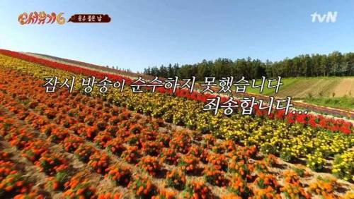 [스압] 창의적인 오답 배틀.jpg