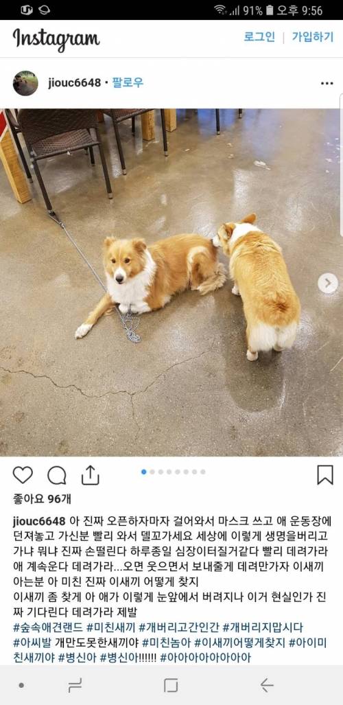 애견카페에 개 버리고 튄 인간.jpg