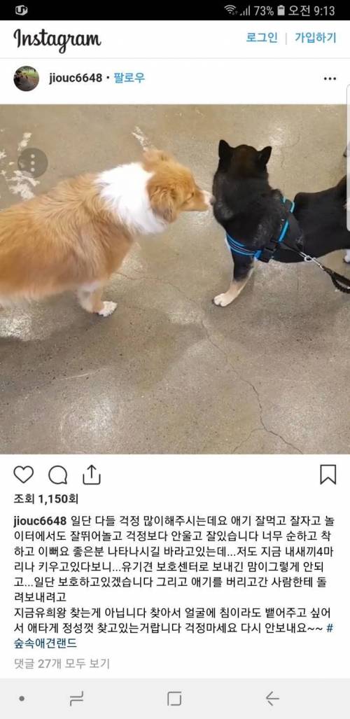 애견카페에 개 버리고 튄 인간.jpg