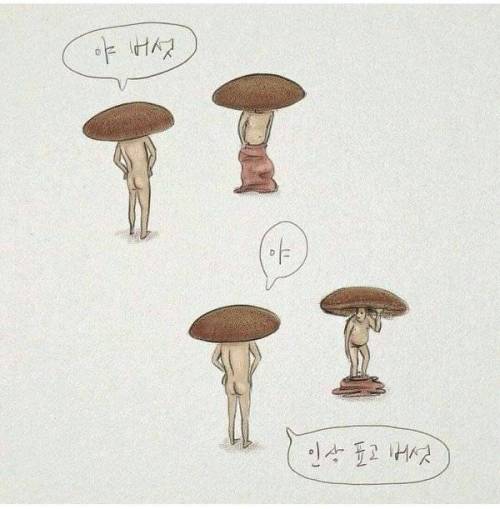 야 버섯.jpg