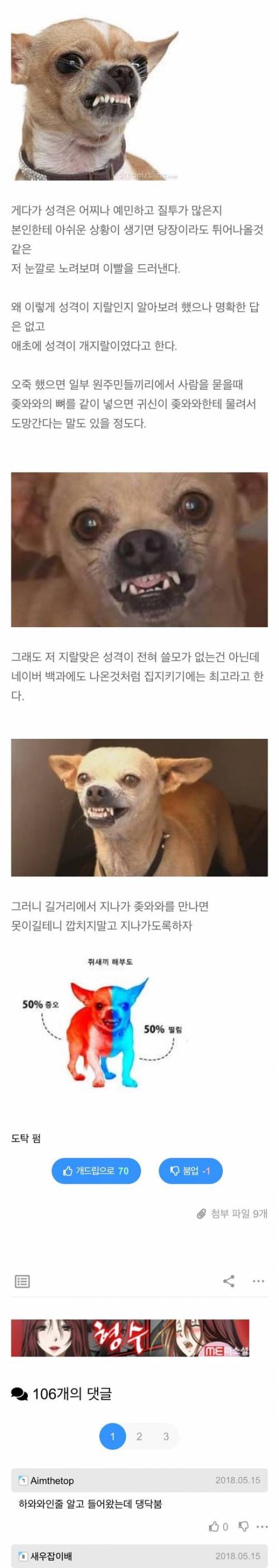 ㅈ와와에 대하여 알아보자.jpg
