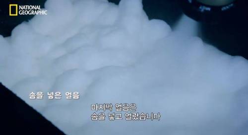 [스압] 가장 안깨지는 얼음은? .jpg