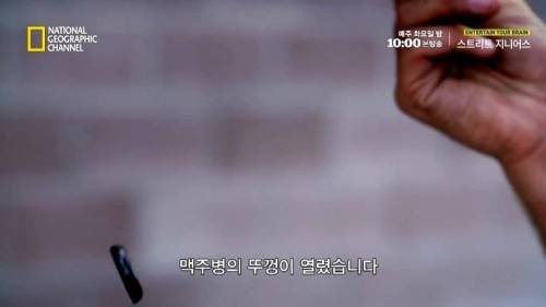 [스압]다음중 맥주병을 딸 수 있는 물건은?