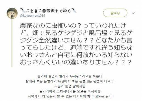 시골살면서 벌레가 무서운이유.jpg