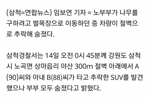 70대 노인의 댓글.jpg