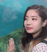 놀래라.gif