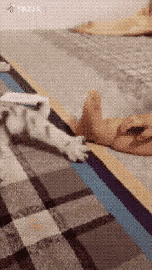 주도권 싸움이 치열하게 벌어지는 현장 .gif